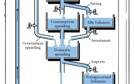 Bill Phillips Models Economy with Flowing Water Simulation