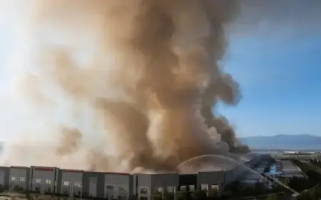 Firefighters Withdraw as Massive Paper Warehouse Engulfed in Flames, Roof Collapses