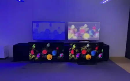 Sony’s True RGB TV Stuns: A Potential Challenger to OLED?