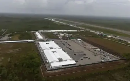 Environmental Groups Demand Appeals Court Lift Block on ‘Alligator Alcatraz’ Closure