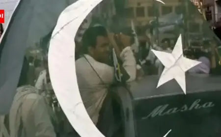 Pak Senator Criticizes India-UAE Relations Amid Akhand Bharat Concerns