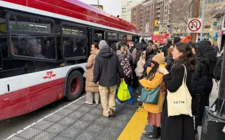 Hydraulic Oil Spill Halts Western Line 2 Subway Service: TTC
