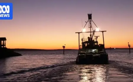 Tuna Deaths in South Australia Not Linked to Algal Bloom