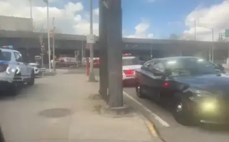 Skeletal Remains Unearthed Beneath Brooklyn Queens Expressway in Jackson Heights