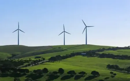 Historic Oil Disruption Accelerates Global Energy Transition