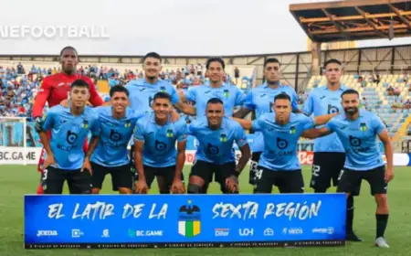 Discover More About Chile’s O’Higgins