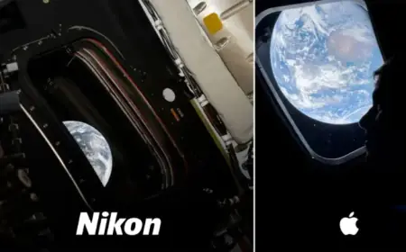 Unpaid Endorsements Offer Unmatched Value in Marketing