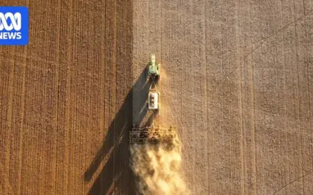 Farmers Bet Big on Early Winter Crops in Unprecedented Times