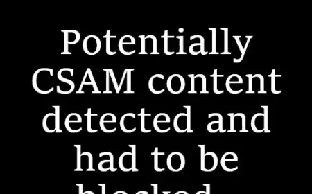 “17-Year Quest for Satoshi Nakamoto Points to Adam Back”