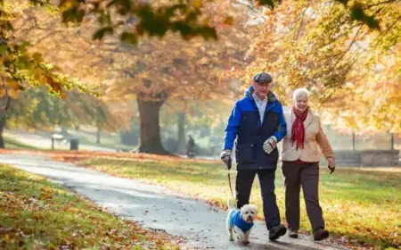 New Low-Risk Stock Offers Passive Income for Your ISA Portfolio