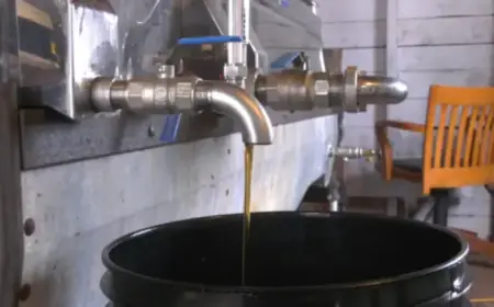 Maritime Maple Syrup Producers Worry About Low Production Levels