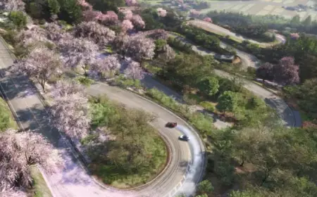 Forza Horizon 6 Reveals Stunning Japan Map