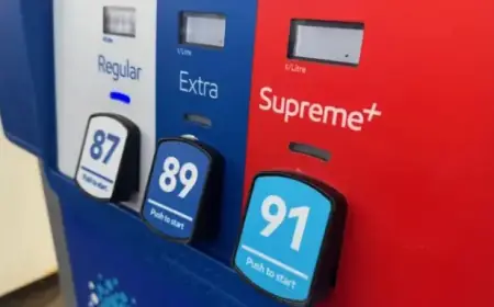 Ottawa Explores Solutions to Alleviate Soaring Fuel Costs