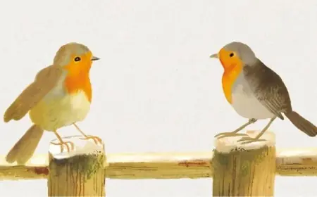 “Top Title Wins First James Patterson & Bookshop.org Prize”