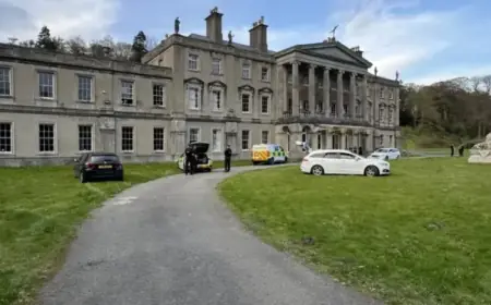 Police Execute Drug Warrant at Former Lord Newborough Manor in Gwynedd