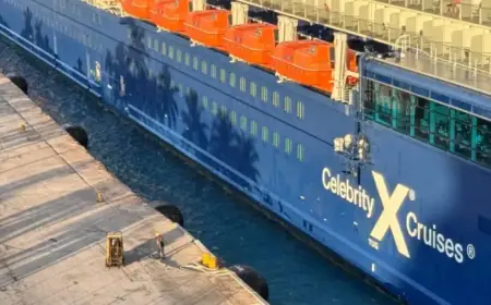 Cruise Passenger Sues Celebrity Cruises Over Misplaced Speaker Trip Hazard