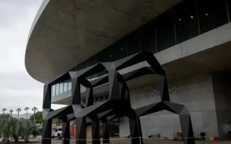 LACMA Reveals Cost of New David Geffen Galleries Expansion