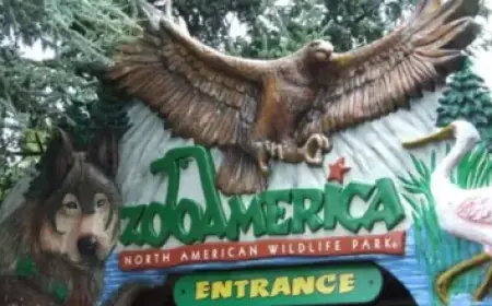 US Senate to Vote on Resolution Limiting Trump’s Iran War Powers