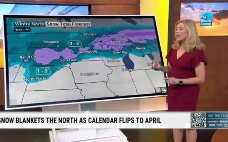 Winter Persists: Anticipating This Week’s Snowfall Totals