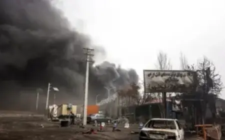 ‘Australian Made’ Labels May Not Guarantee Local Ingredients