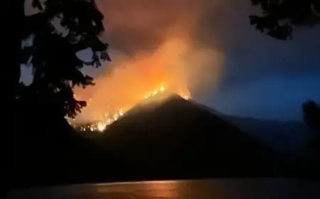 Washington Declares Statewide Drought Emergency Due to Low Snowpack