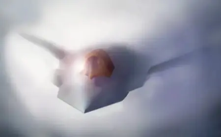 Trump’s $1.5T Defense Budget Unveiled: Key Highlights and Components