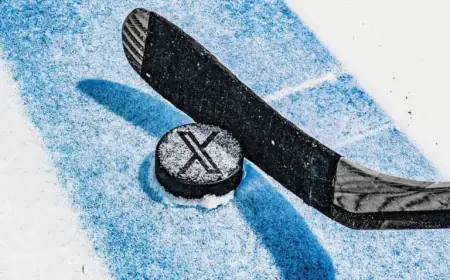 NHL Players Rethink Social Media Use Due to Invasive X Account