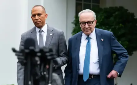 Democrats Face Favorability Struggles Amid Midterm Election Gains