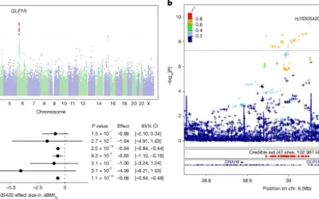 Genetic Factors Influence GLP1 Receptor Agonist Weight Loss and Side Effects