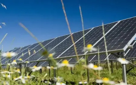 UK Approves Largest Solar Farm, Boosting Renewable Energy Initiative