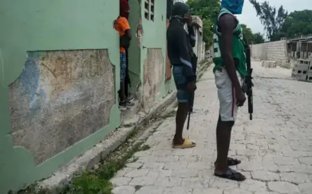 Haiti’s Drug Gangs Exploit Hungry Homeless Children with Food Promises