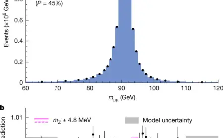 CMS Experiment Delivers High-Precision W Boson Mass Measurement