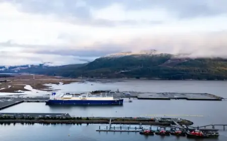 LNG Canada’s Gas Flaring Exceeds Permitted Volumes, Documents Reveal