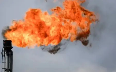 LNG Canada Exceeds Permitted Gas Flaring Volumes: Documents Reveal