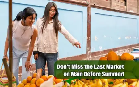 Downtown McAllen Wraps Up Season with Final Market on Main, April 11th