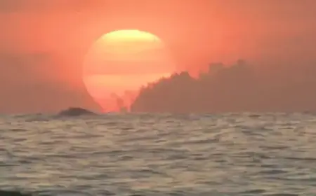 Hottest March in US History Sets New Record, Federal Data Reveals