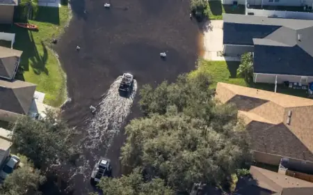 2026 Hurricane Season Predictions: First Major Forecast Released by Tampa Bay Times