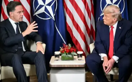 Trump Confronts Rutte Over NATO’s Iran Inaction in Tumultuous Meeting – POLITICO