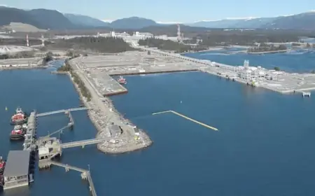 LNG Canada Gas Flaring Far Exceeds Legal Limits, Documents Reveal