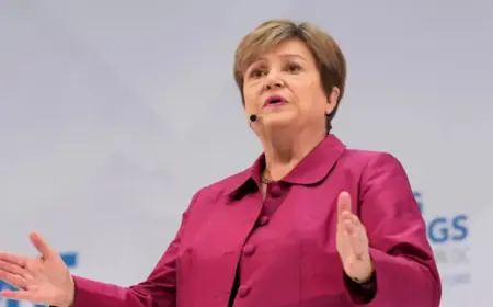 IMF Warns of Impending Inflation Crisis Driven by US Economy