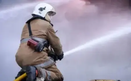 Brennan Johnson Praises Ex-Man United Keeper De Gea in Palace vs Fiorentina