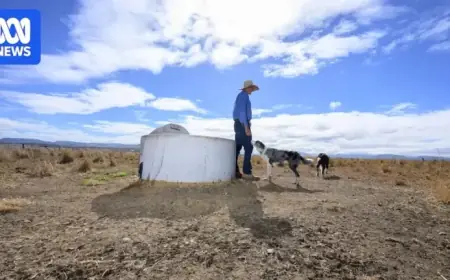 Queensland Farmers Mobilize Against Severe Drought Impact