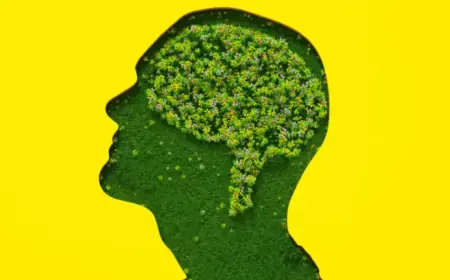 Anthropic’s Claude Undergoes 20-Hour Psychiatry Study Exploring AI Behavior