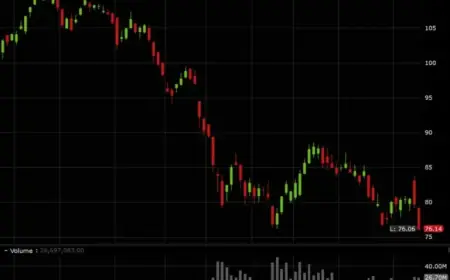 Stock Market Resumes Selling Software Stocks