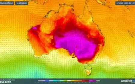 Mega Transport Projects Prioritize Progress Over Commuters