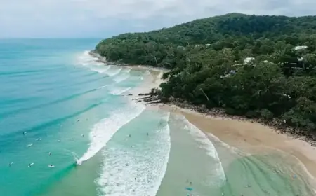 Profitable Coastal Havens: Homeowners Discover Lucrative Opportunities