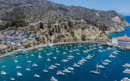 Fatal Plane Crash on Catalina Island Claims Two Lives, Officials Report