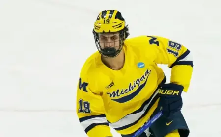 Key Decisions Await Canadiens’ St. Louis on Hage’s Future