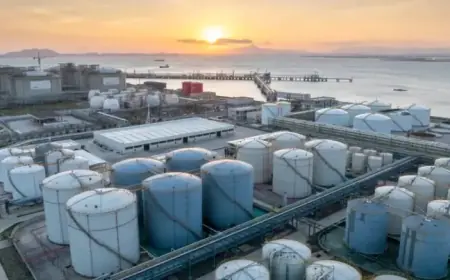 Safeguarding UK Economy and Consumers from Energy Price Surge