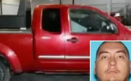 João Fonseca Defeats Berrettini, Reaches First Masters 1,000 Quarterfinal